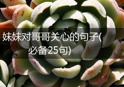 妹妹对哥哥关心的句子(必备25句)