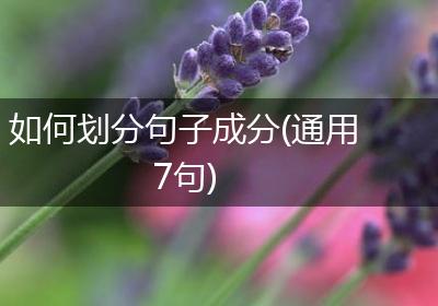 如何划分句子成分(通用7句)