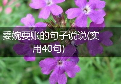 委婉要账的句子说说(实用40句)