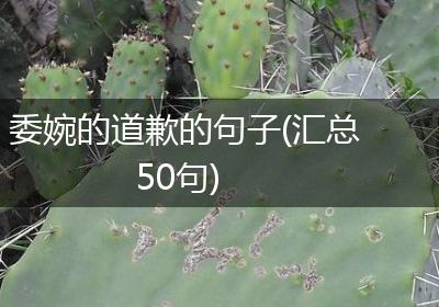 委婉的道歉的句子(汇总50句)