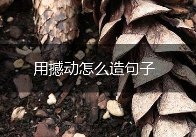 用撼动怎么造句子