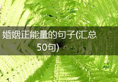 婚姻正能量的句子(汇总50句)