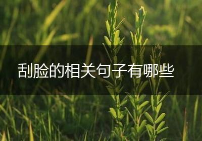 刮脸的相关句子有哪些