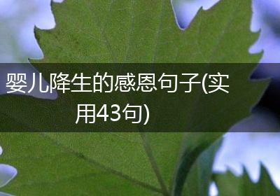 婴儿降生的感恩句子(实用43句)