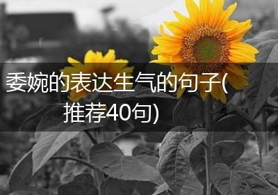 委婉的表达生气的句子(推荐40句)