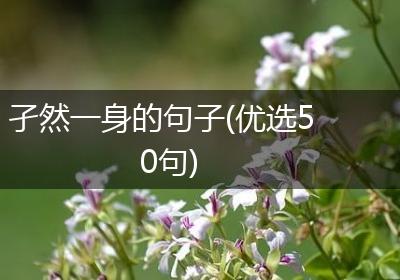 孑然一身的句子(优选50句)