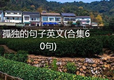 孤独的句子英文(合集60句)