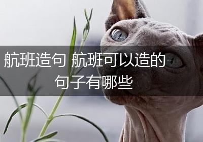 航班造句 航班可以造的句子有哪些