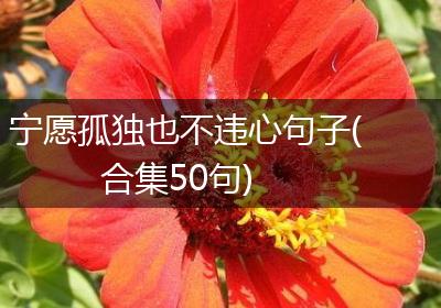 宁愿孤独也不违心句子(合集50句)