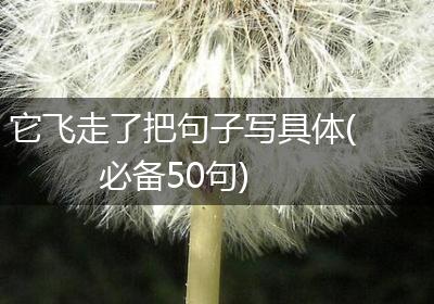 它飞走了把句子写具体(必备50句)