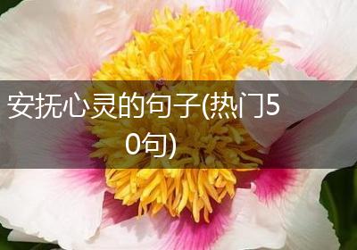 安抚心灵的句子(热门50句)