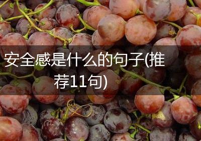 安全感是什么的句子(推荐11句)