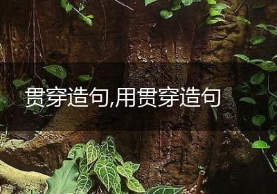 贯穿造句,用贯穿造句
