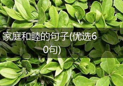 家庭和睦的句子(优选60句)