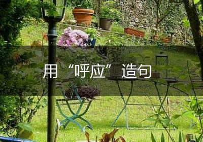 用“呼应”造句