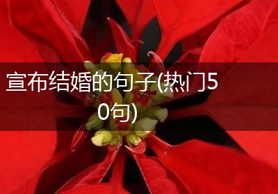 宣布结婚的句子(热门50句)
