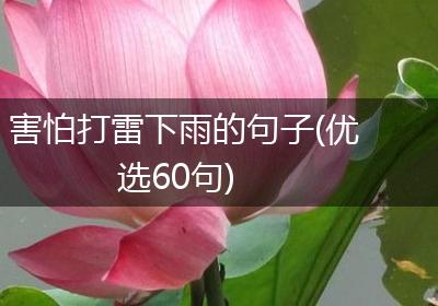 害怕打雷下雨的句子(优选60句)