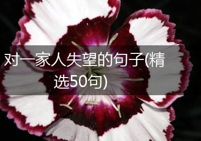 对一家人失望的句子(精选50句)