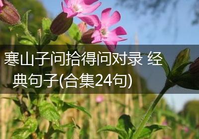 寒山子问拾得问对录 经典句子(合集24句)