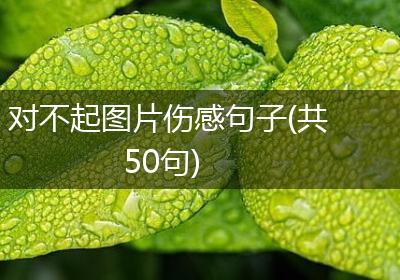 对不起图片伤感句子(共50句)