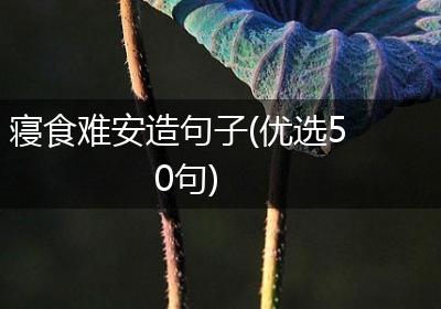 寝食难安造句子(优选50句)