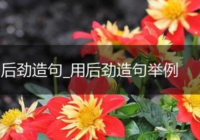 后劲造句_用后劲造句举例