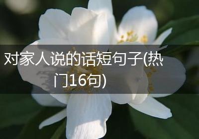 对家人说的话短句子(热门16句)