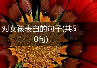 对女孩表白的句子(共50句)