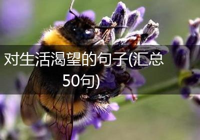 对生活渴望的句子(汇总50句)