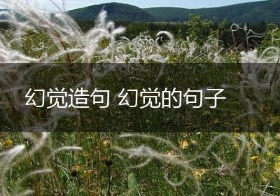 幻觉造句 幻觉的句子