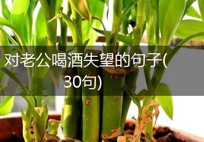 对老公喝酒失望的句子(30句)