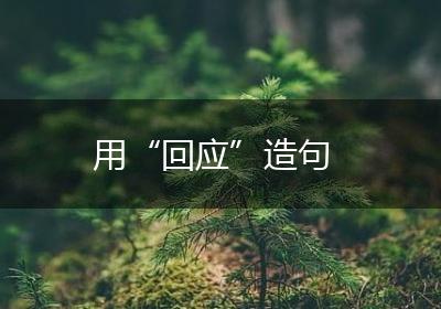 用“回应”造句