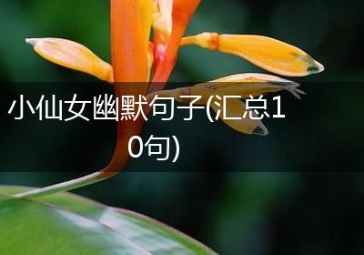 小仙女幽默句子(汇总10句)
