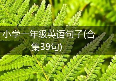 小学一年级英语句子(合集39句)