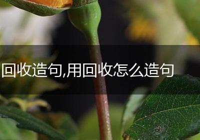 回收造句,用回收怎么造句