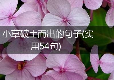 小草破土而出的句子(实用54句)