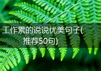 工作累的说说优美句子(推荐50句)
