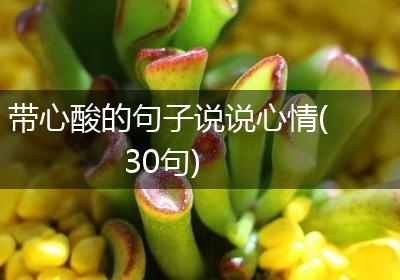 带心酸的句子说说心情(30句)