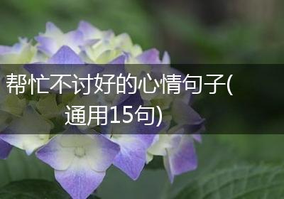 帮忙不讨好的心情句子(通用15句)