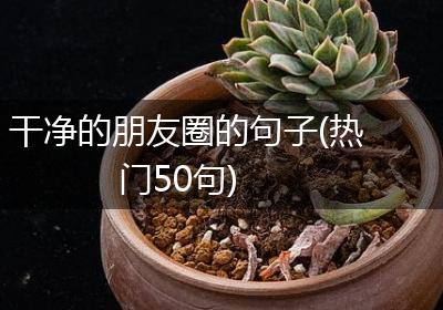 干净的朋友圈的句子(热门50句)