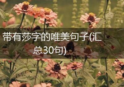 带有莎字的唯美句子(汇总30句)
