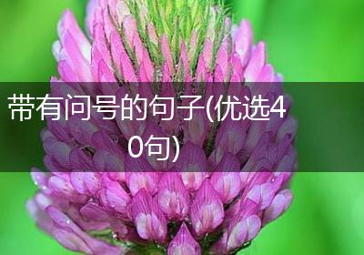 带有问号的句子(优选40句)