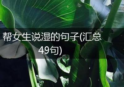 帮女生说湿的句子(汇总49句)