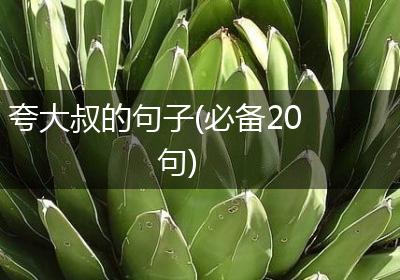 夸大叔的句子(必备20句)
