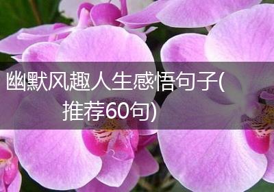 幽默风趣人生感悟句子(推荐60句)