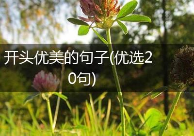 开头优美的句子(优选20句)