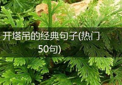 开塔吊的经典句子(热门50句)