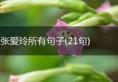 张爱玲所有句子(21句)