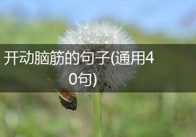 开动脑筋的句子(通用40句)