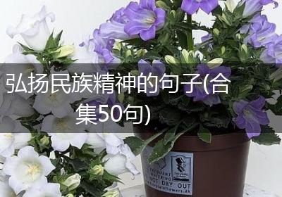 弘扬民族精神的句子(合集50句)